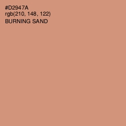 #D2947A - Burning Sand Color Image